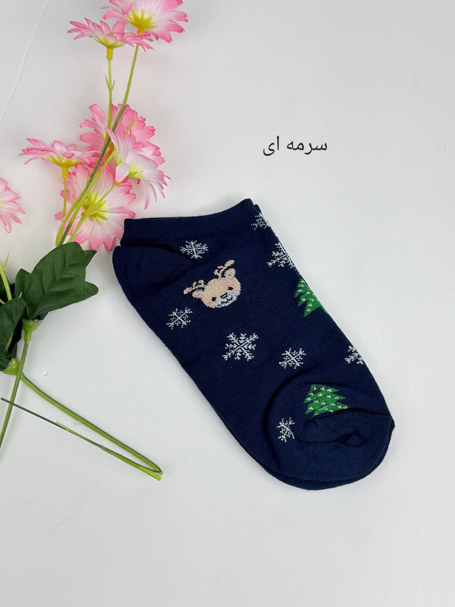 جوراب-تِد